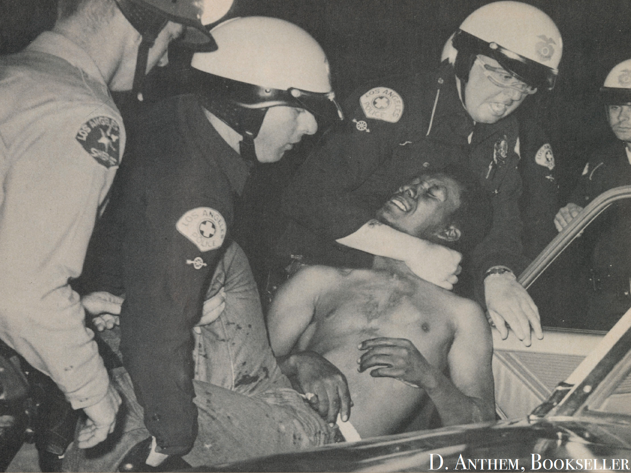 Black History & Liberation Movements