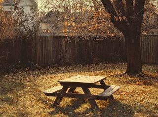 September 2025 Miscellany