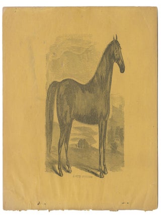 The Science of Taming the Vicious Horse, As Taught By Prof. O. R. Gleason, King of Horse Tamers (cover title)