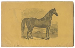 The Science of Taming the Vicious Horse, As Taught By Prof. O. R. Gleason, King of Horse Tamers (cover title)