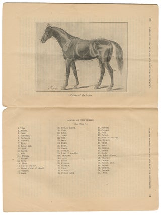 Care of Public Animals and Leather Equipment Issued to the National Guard (War Department, Document 1003)