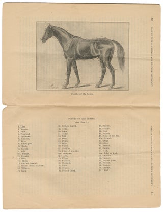 Care of Public Animals and Leather Equipment Issued to the National Guard (War Department, Document 1003)